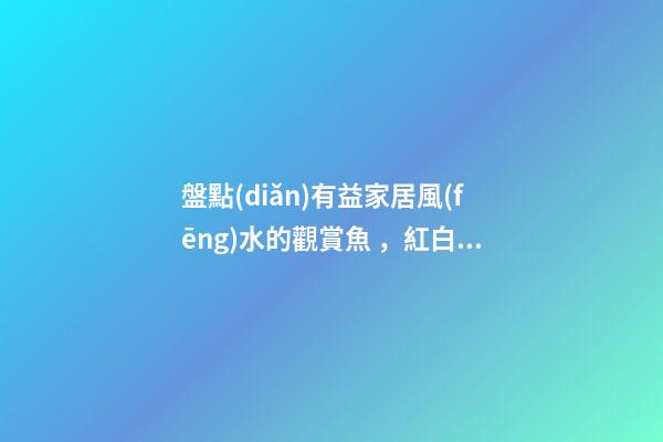 盤點(diǎn)有益家居風(fēng)水的觀賞魚，紅白錦鯉能旺財(cái)